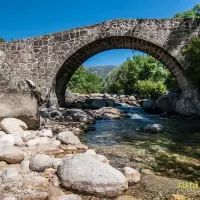 Ginkgos Puente Parral Jarandilla de la Vera Fotonazos